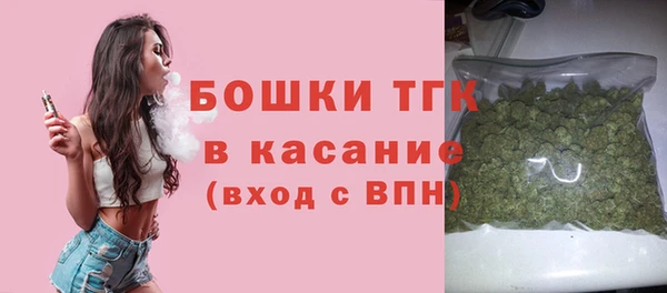 мдпв Надым