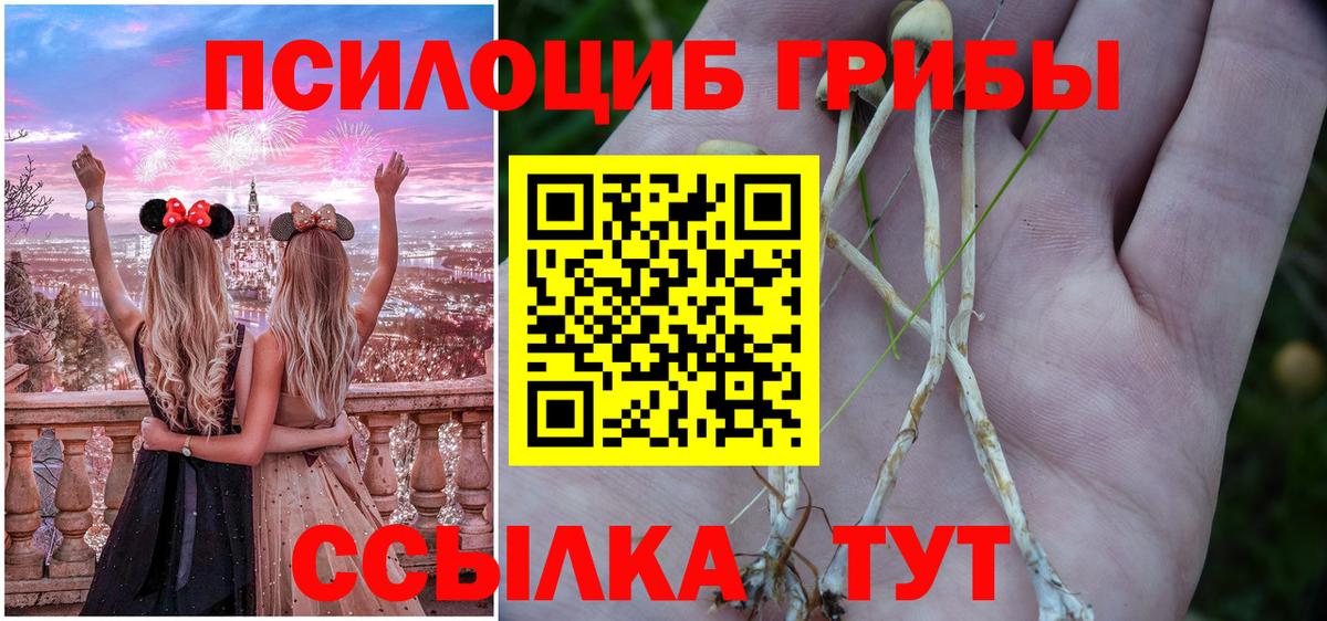 Псилоцибиновые грибы MAGIC MUSHROOMS Туапсе